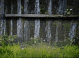 Our Brains Are Shrinking GIF