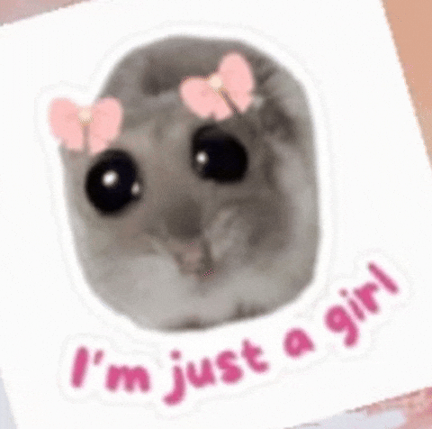 Hamster Im Just A Girl GIF