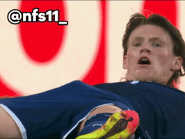 Fifa World Cup GIF