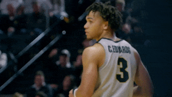 Excited College Basketball GIF by Purdue Sports