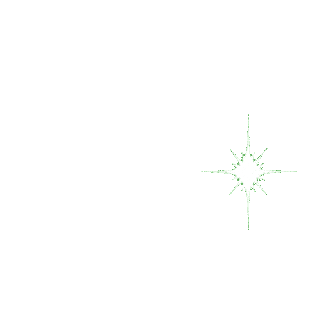 Hair Star Sticker by KAO Germany GmbH