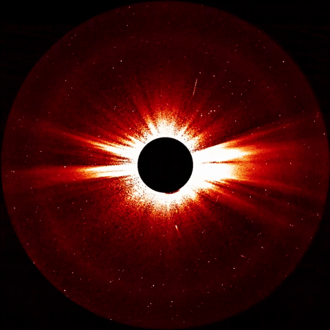 sun corona GIF by NASA