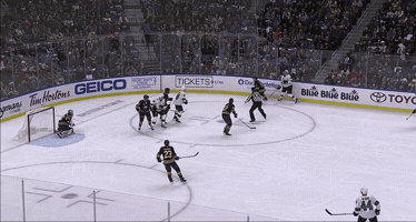 Hockey Sabres GIF
