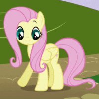 fluttershy