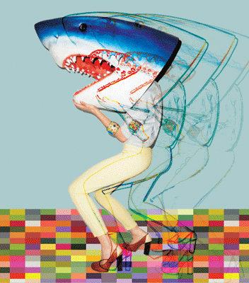 Colors Shark GIF