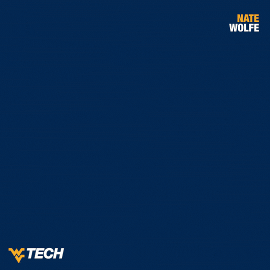 Baseball GIF by WVU Tech Golden Bears