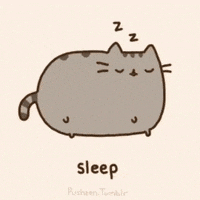 Pusheen GIFs - Find & Share on GIPHY