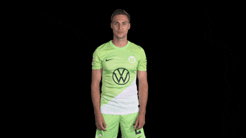Sport No GIF by VfL Wolfsburg