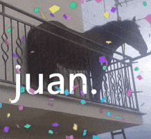 Meme GIF