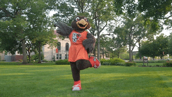 Bowling Green Point GIF by Bowling Green State University