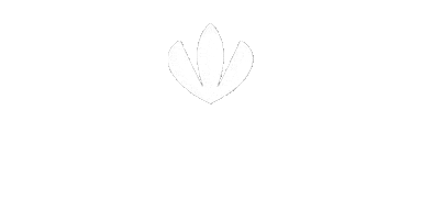 Crocus Kazan Sticker