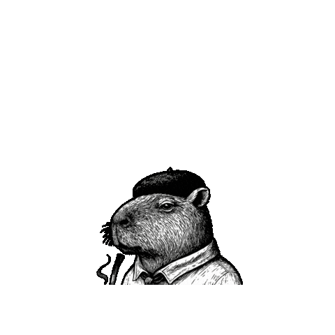 Agro Capivara Sticker by sthefanibioagreen