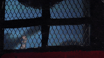 GIF by Carl Knickerbocker