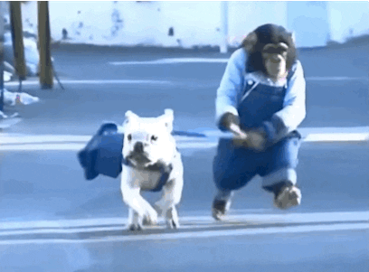 Dog Walking GIF - Find & Share on GIPHY