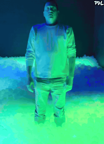 Pdl GIF by The Undroppables