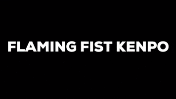 Martial Arts Sport GIF by Flaming Fist Kenpo Germany - empty hands e.V.