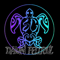 Soulcraft Wake Surf GIF