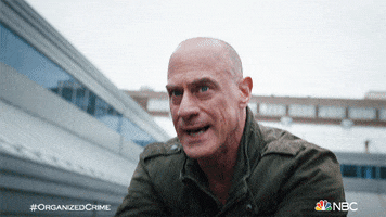 Season 2 Reaction GIF by Law & Order