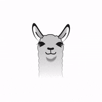 peta-scream-alpaca-anthropologie-7guIMwvZ83qhT1th18