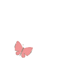 NinaSpirit Sticker