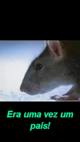 jonathanfontella  GIF