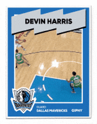 dallas mavs GIF by Giphy Cards