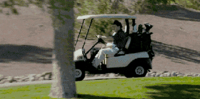 bubba watson win GIF by Cheezburger