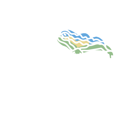 Ef Education First Barcelona Sticker by efmoment