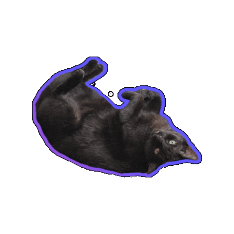 Just Chilling Black Cat Sticker by Rod Kim