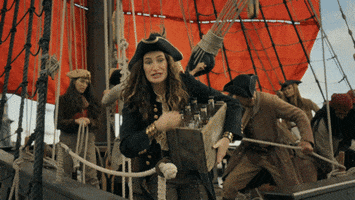 Pirate Crm GIF by HubSpot