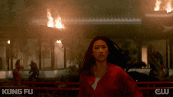 The Cw Fighting GIF by CW Kung Fu