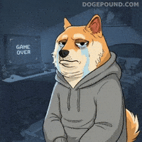 Sad Video Games GIF by Doge Pound