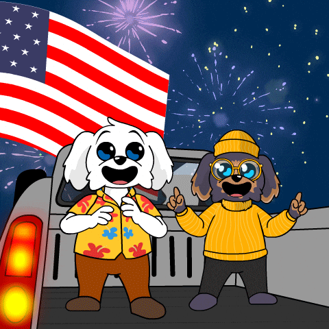 Independence Day Usa GIF by BoDoggos