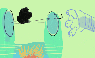 Party Borra Gif By Gif