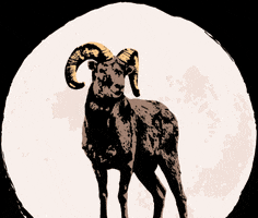 Bleckwiesen Festival GIF