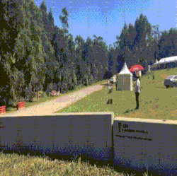 rally
