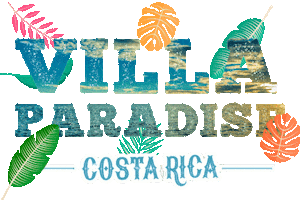 Puravida Sticker by Villa Paradise Costa Rica