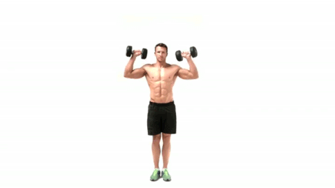 Dumbbell Shoulder Press GIFs - Get the best GIF on GIPHY