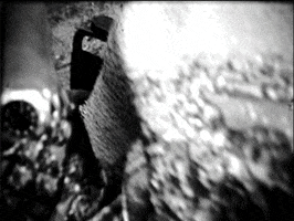 black and white film GIF by Charles Pieper