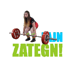 Powerlifting zveza Slovenije (PLZS) - Slovenian Powerlifting Federation Sticker