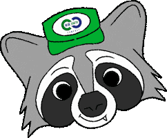 Blue Earth Raccoon Sticker by Breakfast Lunch & Dinner