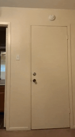 Leah Sassy Leahbsassy Bavinck Herman Hermanbavinck Theology GIF