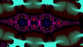 200.gif?cid=fc005b0857166e94a2e33703f6619fb375c995508b521c8c&rid=200.gif&ct=g