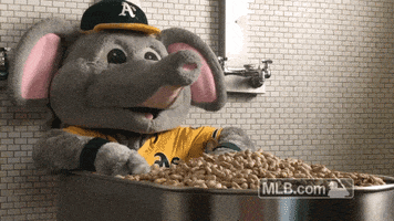 bath peanut GIF by MLB
