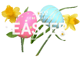 Easter Eggs Sticker by TescoIreland