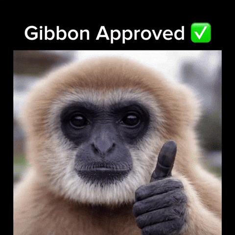 Gibbon GIF