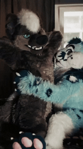 Furry GIF