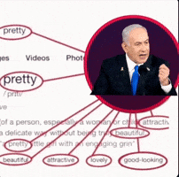 Tel Aviv Netanyahu GIF