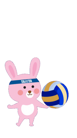 Volleyball Rabbit Sticker by TANITA Hong Kong
