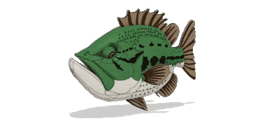 Black Bass Sticker by AGR Baits